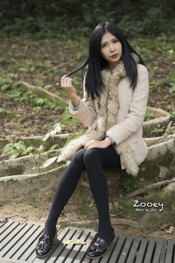 男操女视频